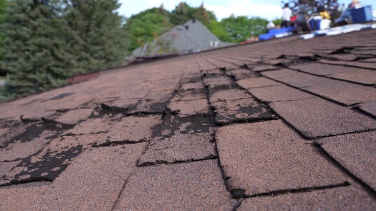 Professional Roofing in Franklin, MI