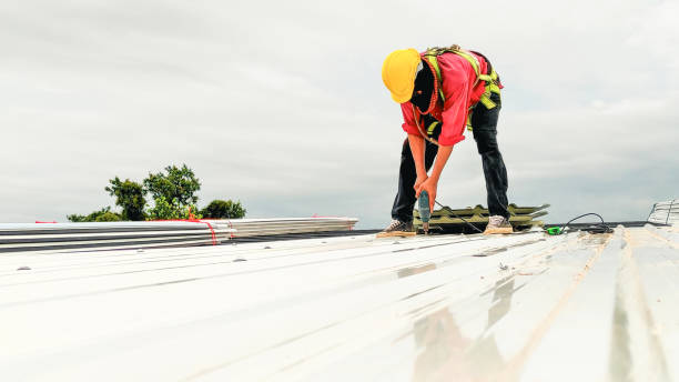 Best Roof Maintenance and Cleaning  in Franklin, MI